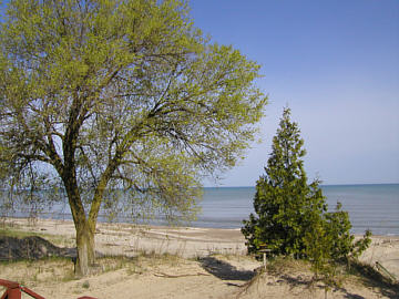 View of   